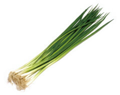 青ネギの画像