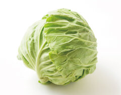 キャベツの画像