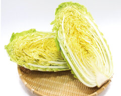 白菜の画像