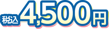 税込み4,500円