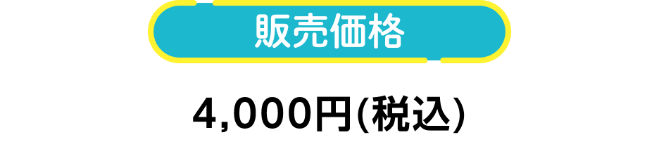 販売価格 4,000円(税込)